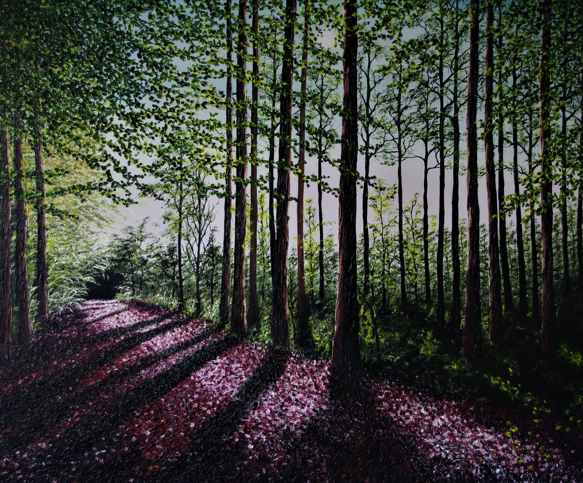 Towards Evening In The Forest