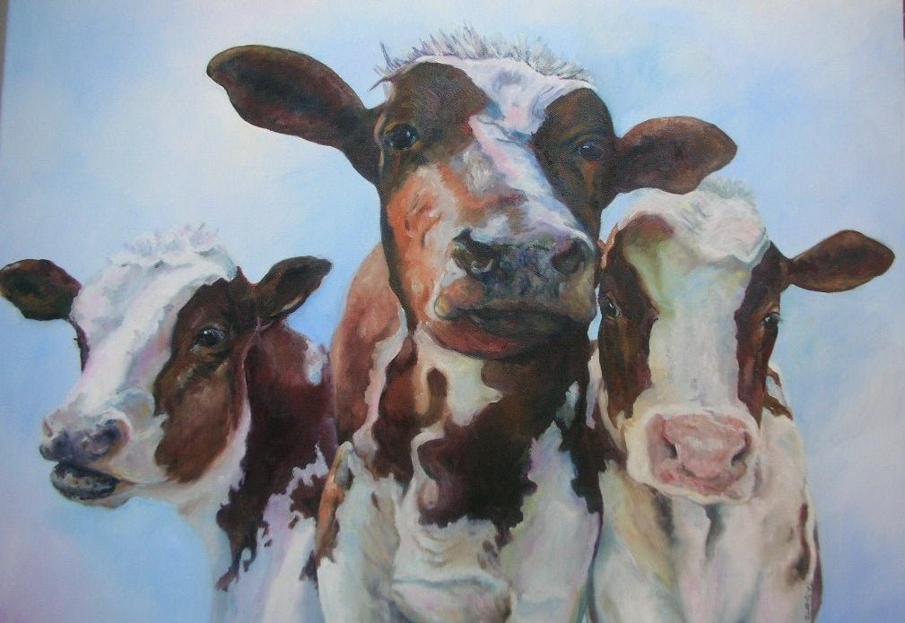 "Inquisitive Cows"