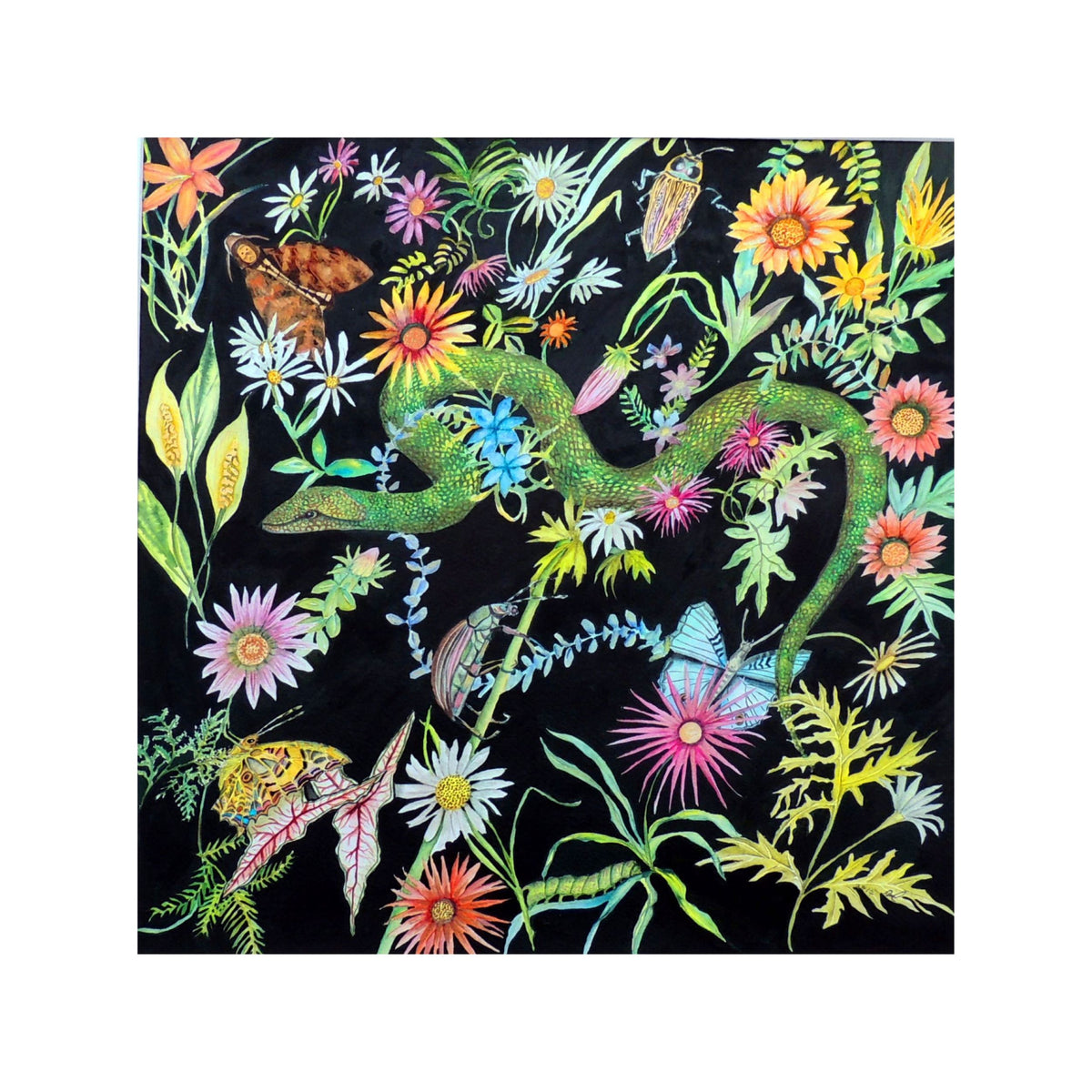 Tapestry of Life