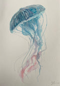 Jellyfish study