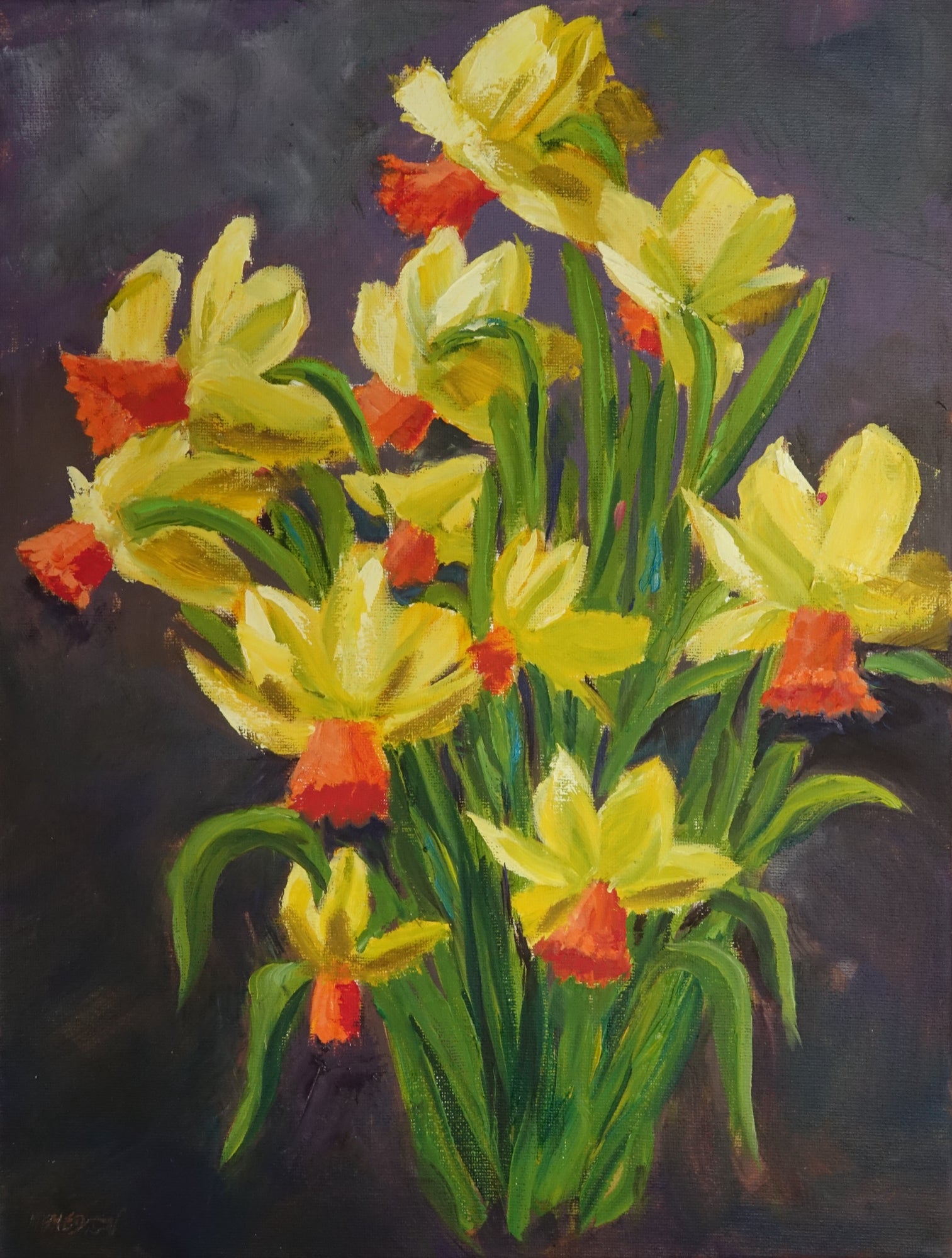 Jetfire Daffodils