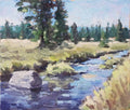 Jizerka River