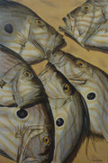 John Dory