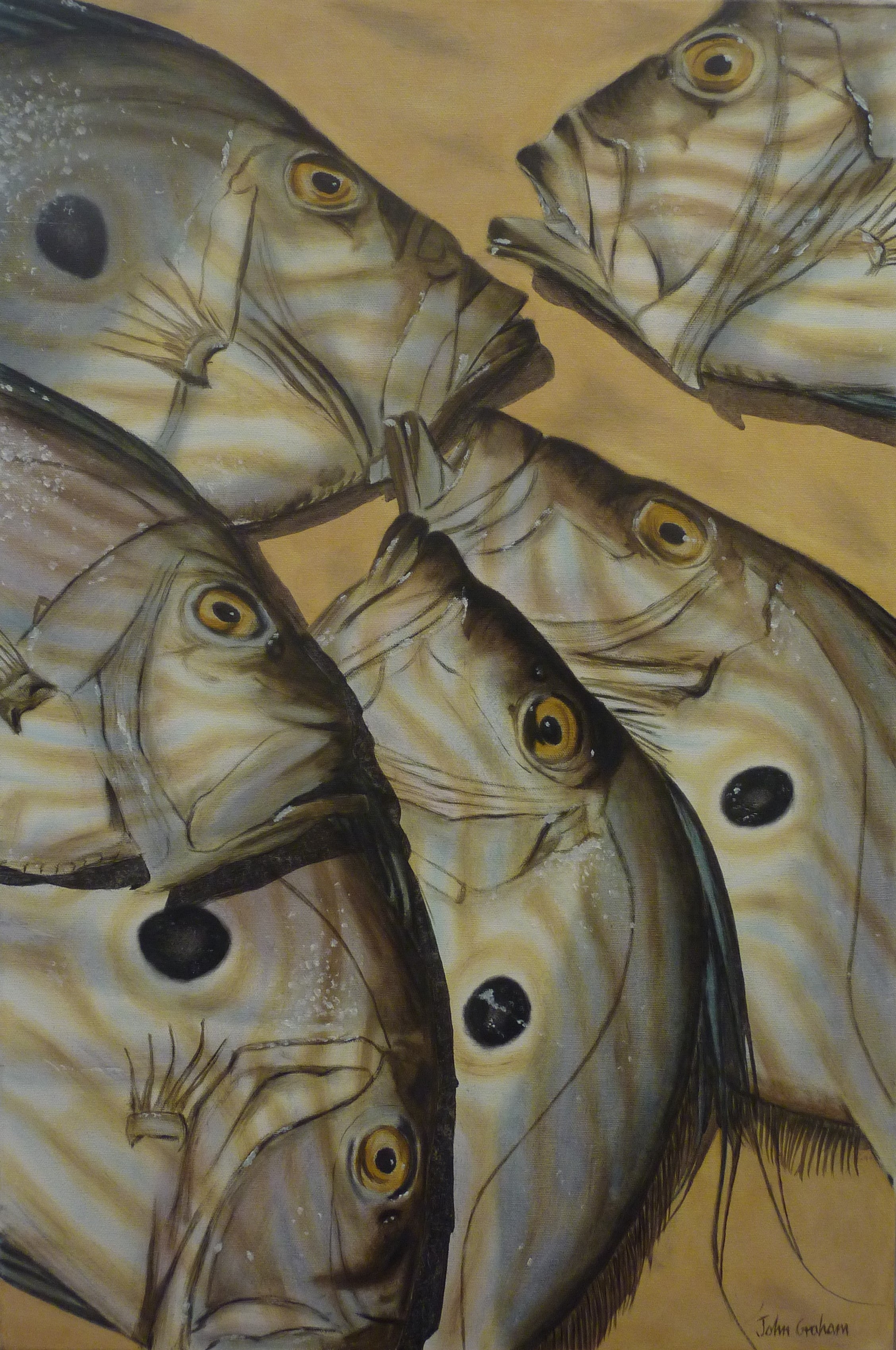 John Dory