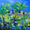 A few cottages in a colourful meadow