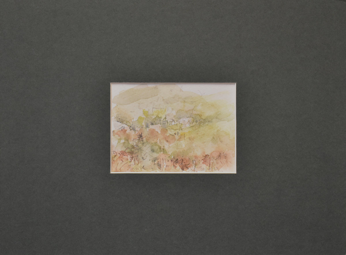 “THE PATHS WE TAKE “ STUDY NUMBER 40