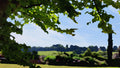 Cotswolds landscape