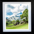 The 'Langdale Boulders' & Ancient Oak Tree - English Lake District
