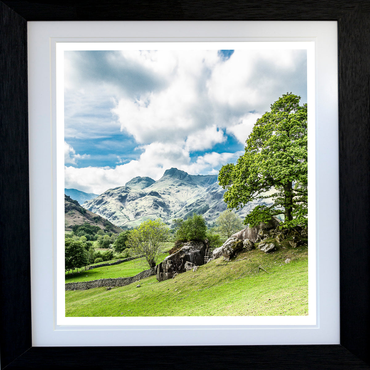 The 'Langdale Boulders' & Ancient Oak Tree - English Lake District