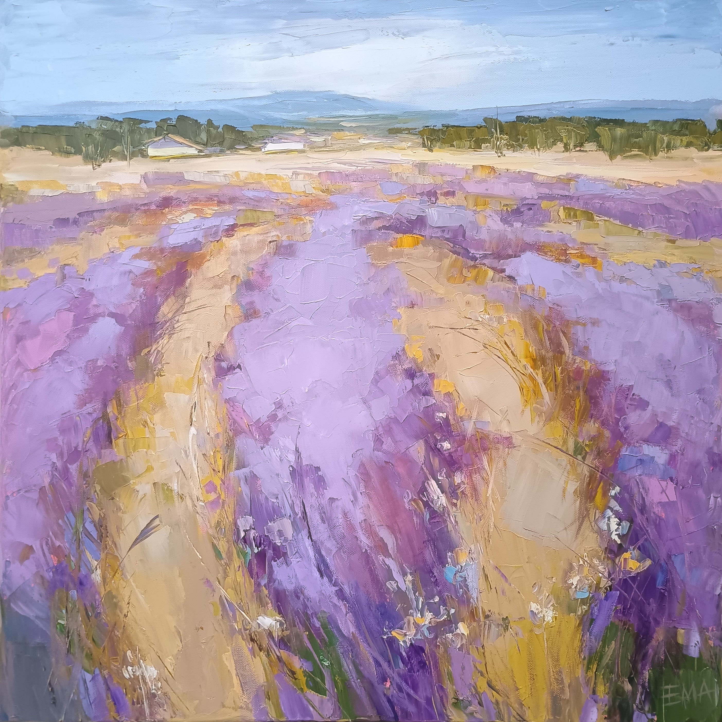 Lavender time