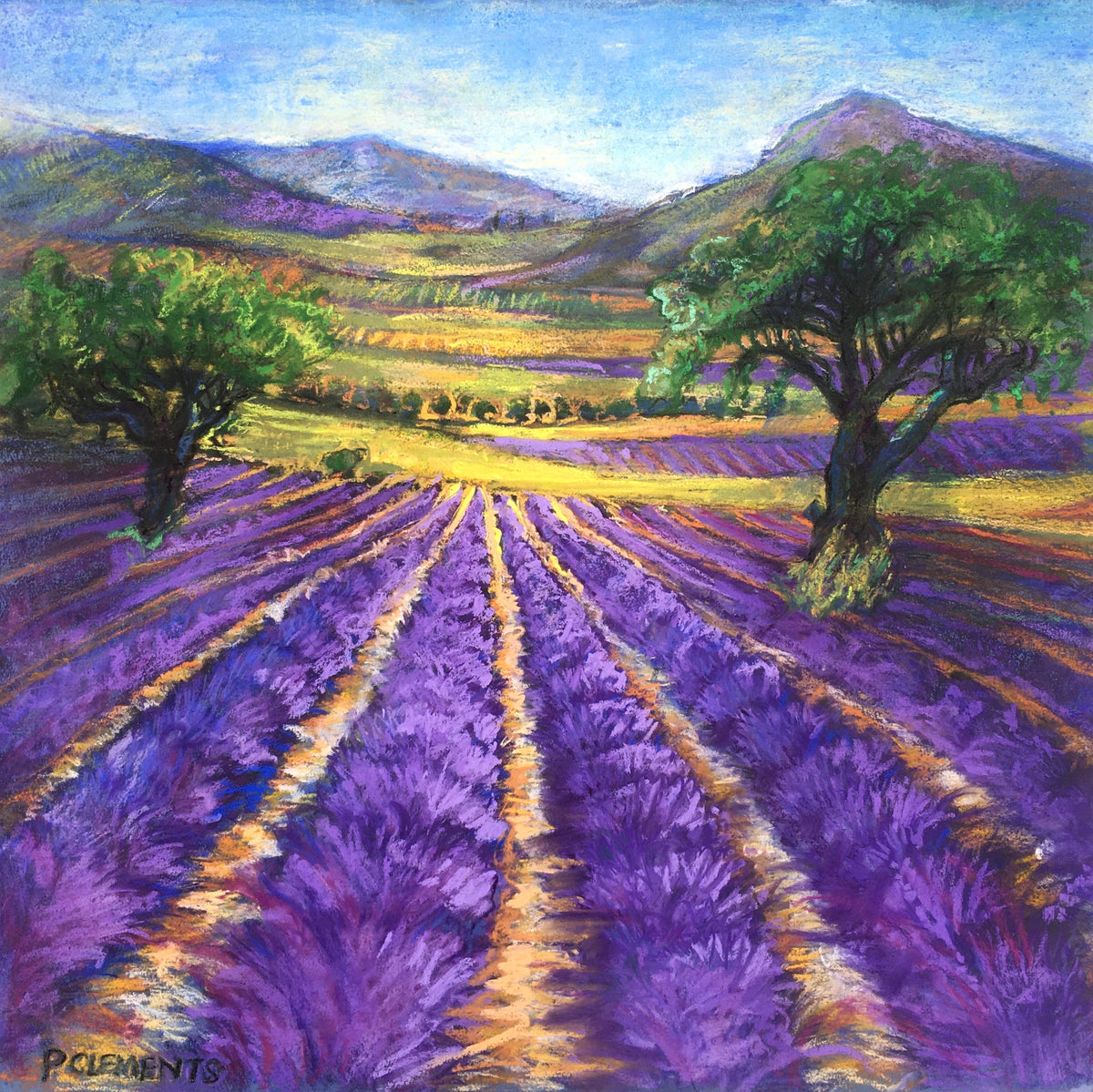 French Lavender Fields