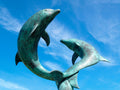 Leaping Tresco Dolphins
