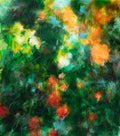 Orange and Green Rosebush