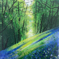Seasons - Spring light across bluebell bank