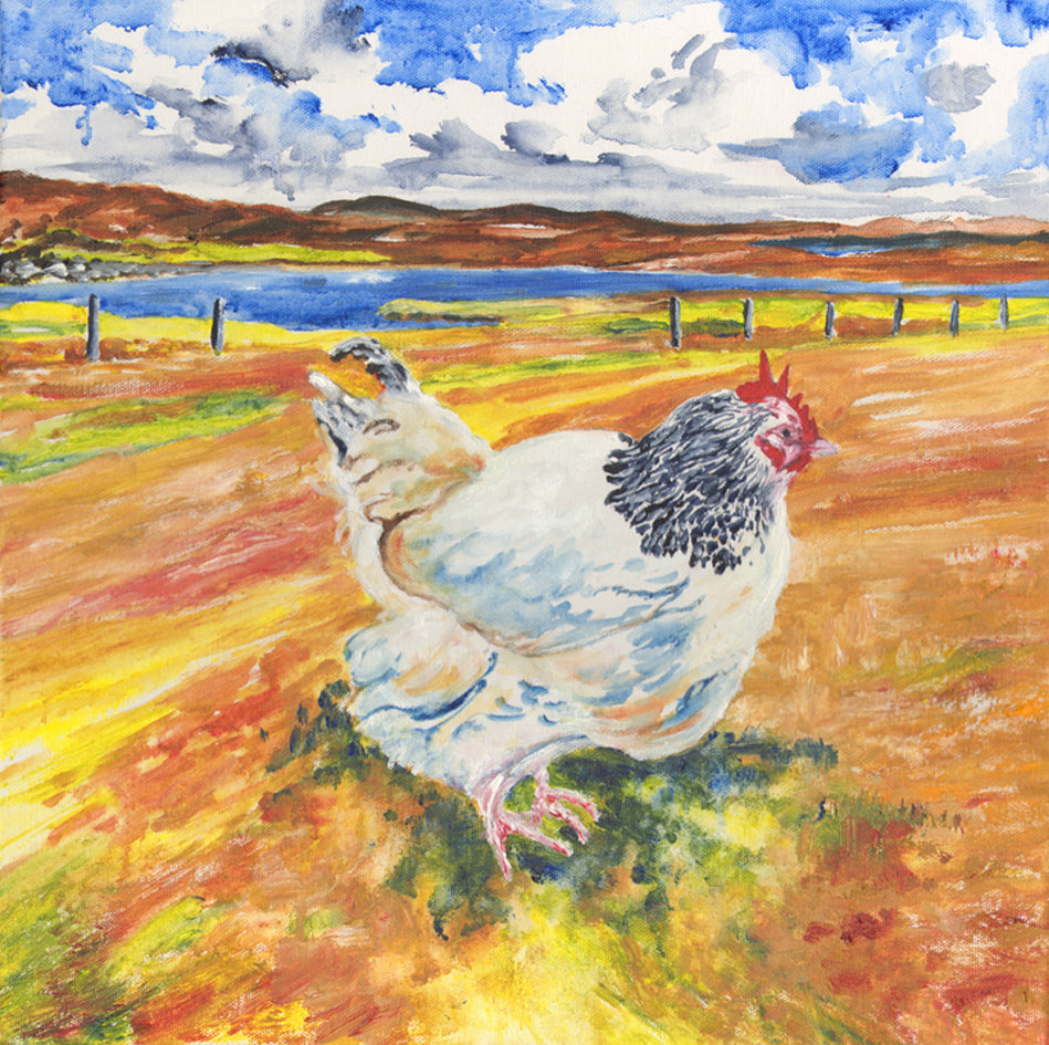 Light Sussex Hen