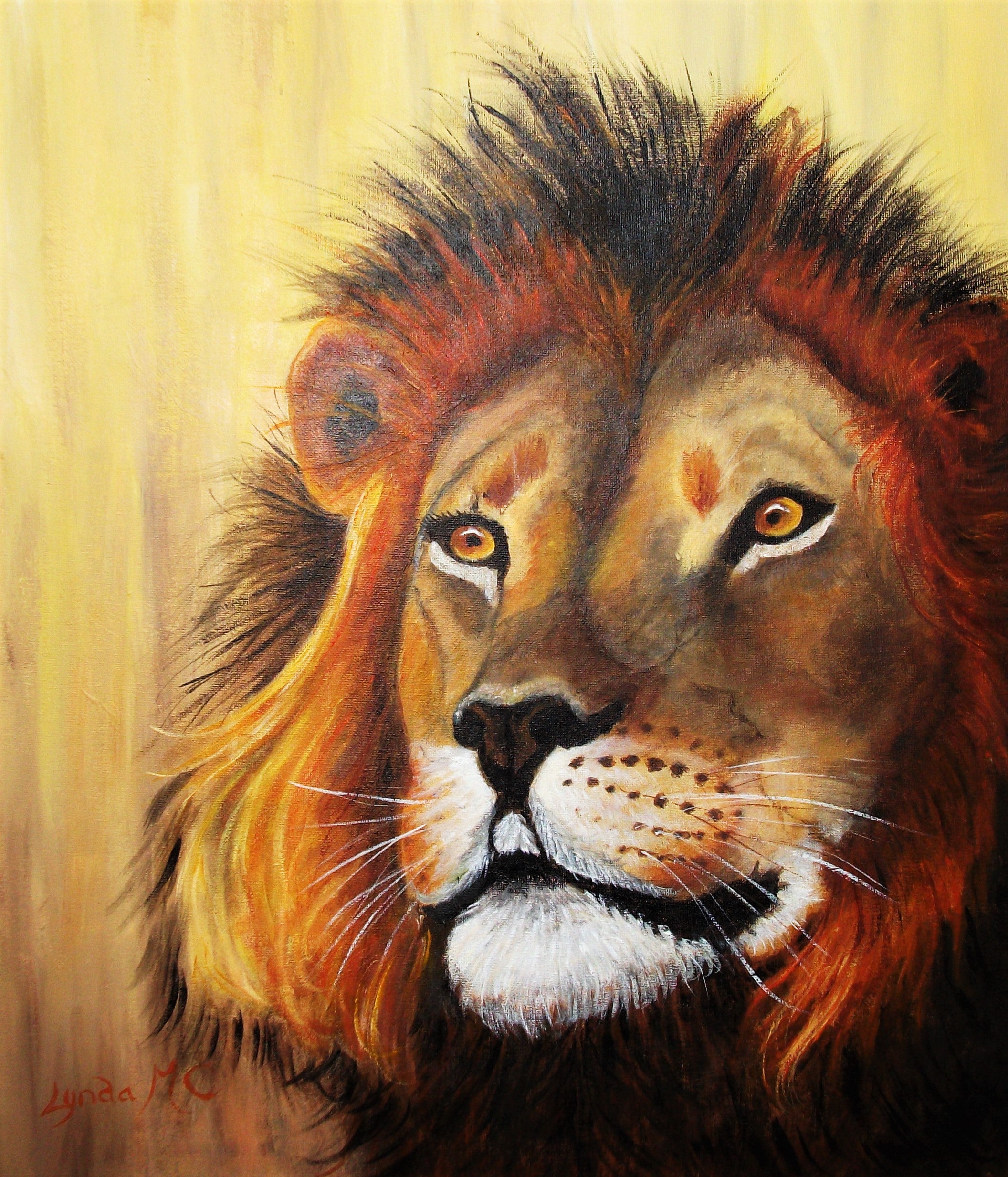 AN OLD LION KING