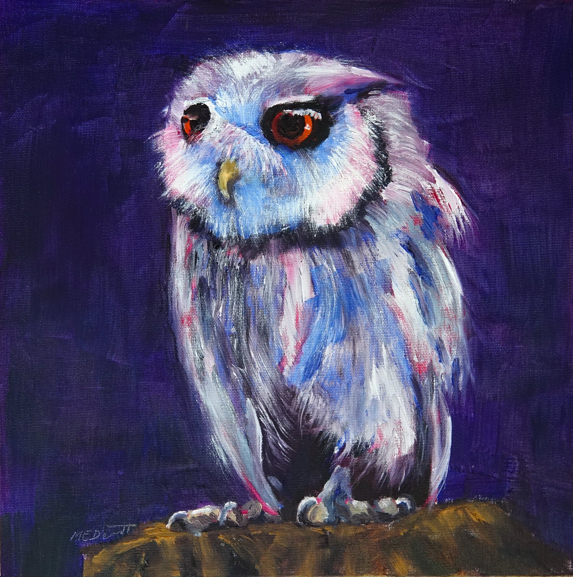 Little Owl 2