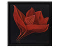 Little Red Flower
