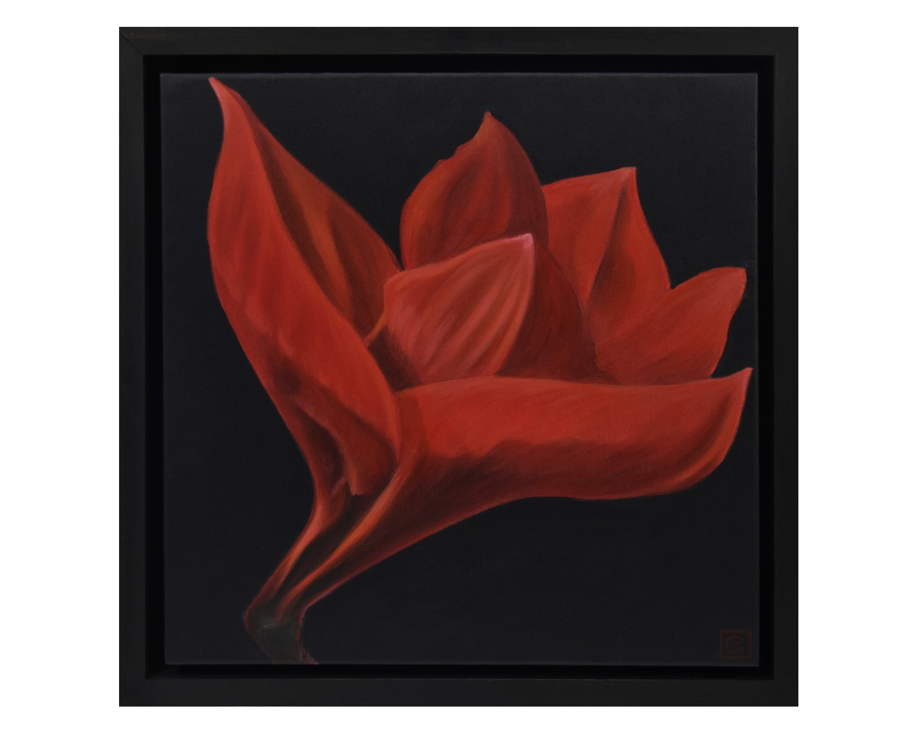 Little Red Flower