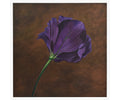 'Lizzianthus on Bronze background'