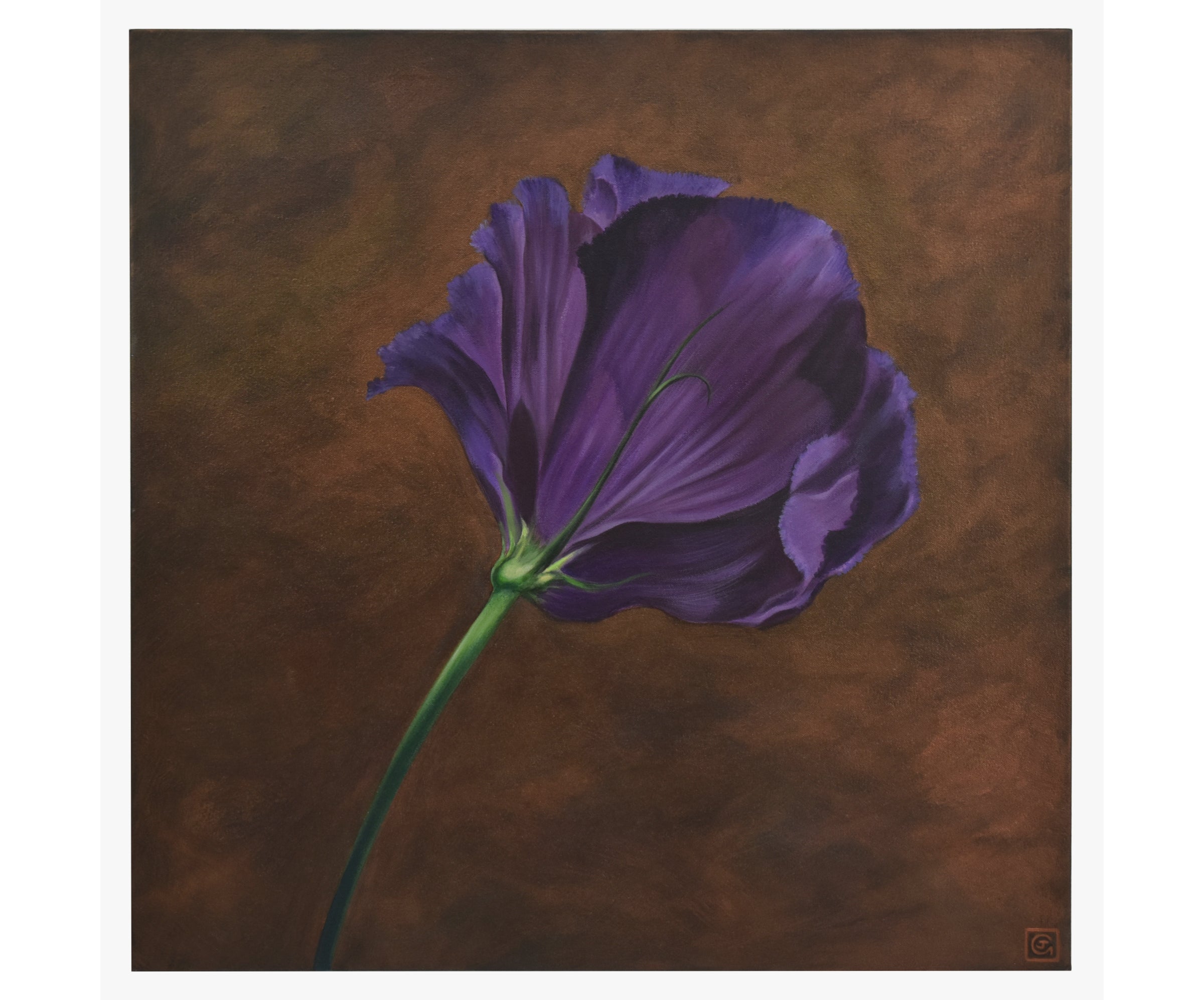 'Lizzianthus on Bronze background'