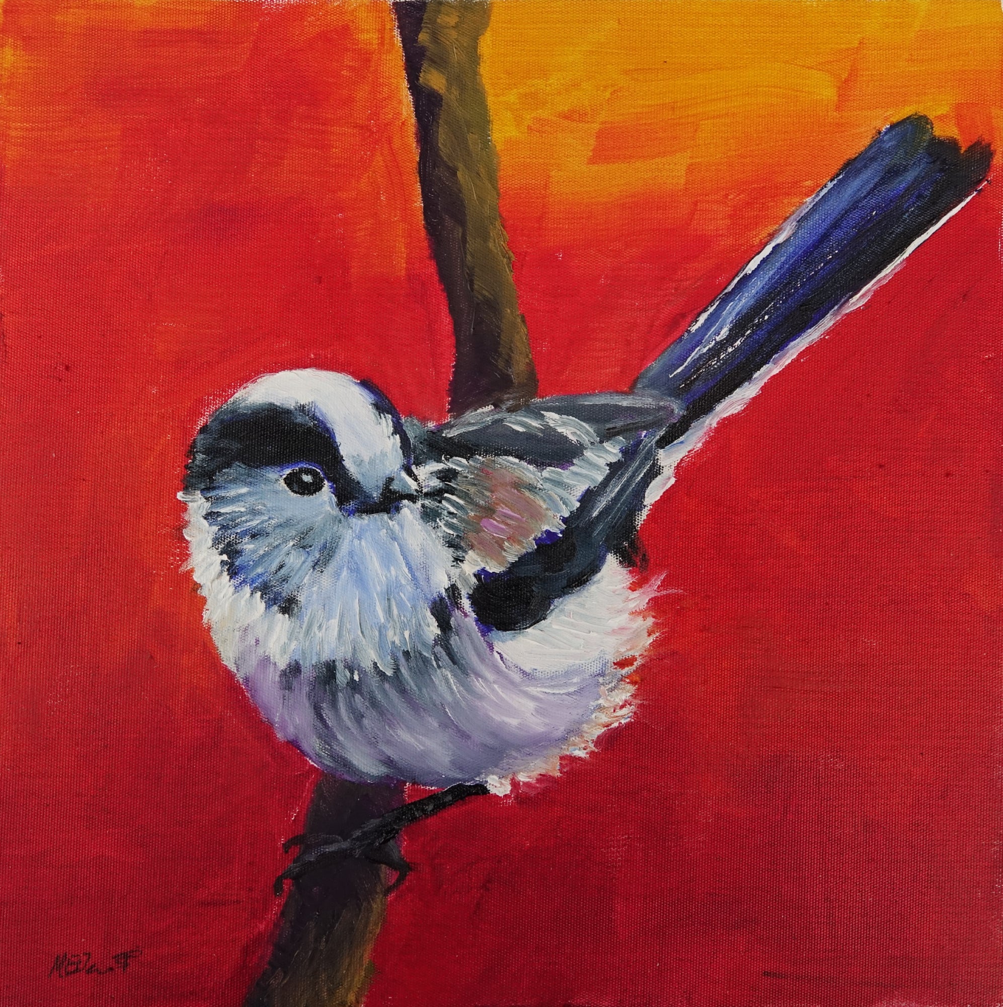 Long-Tailed Tit