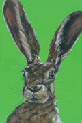 Mad Hare Day