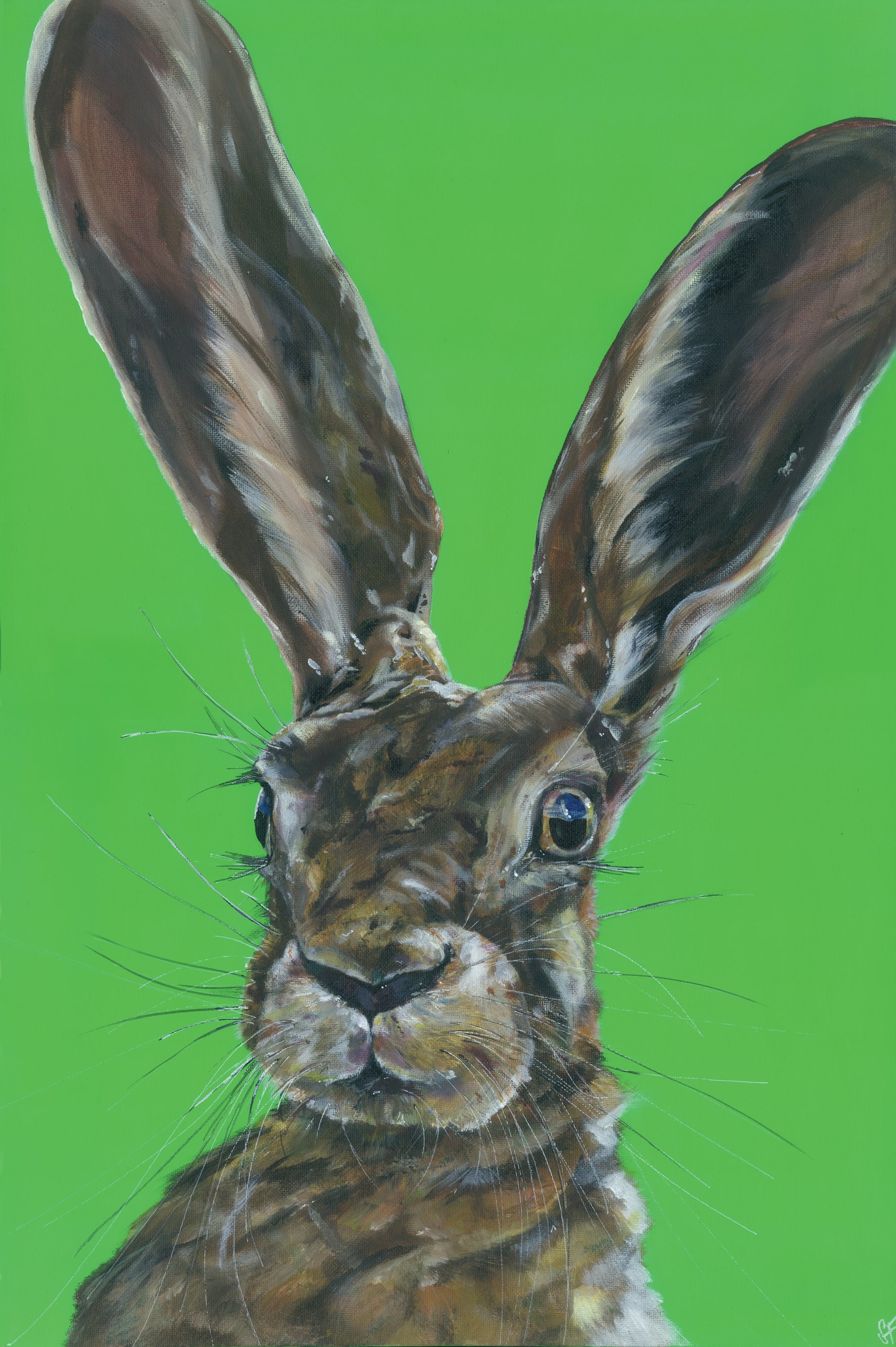 Mad Hare Day