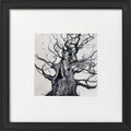 Monochrome - The Majesty Oak in Winter framed