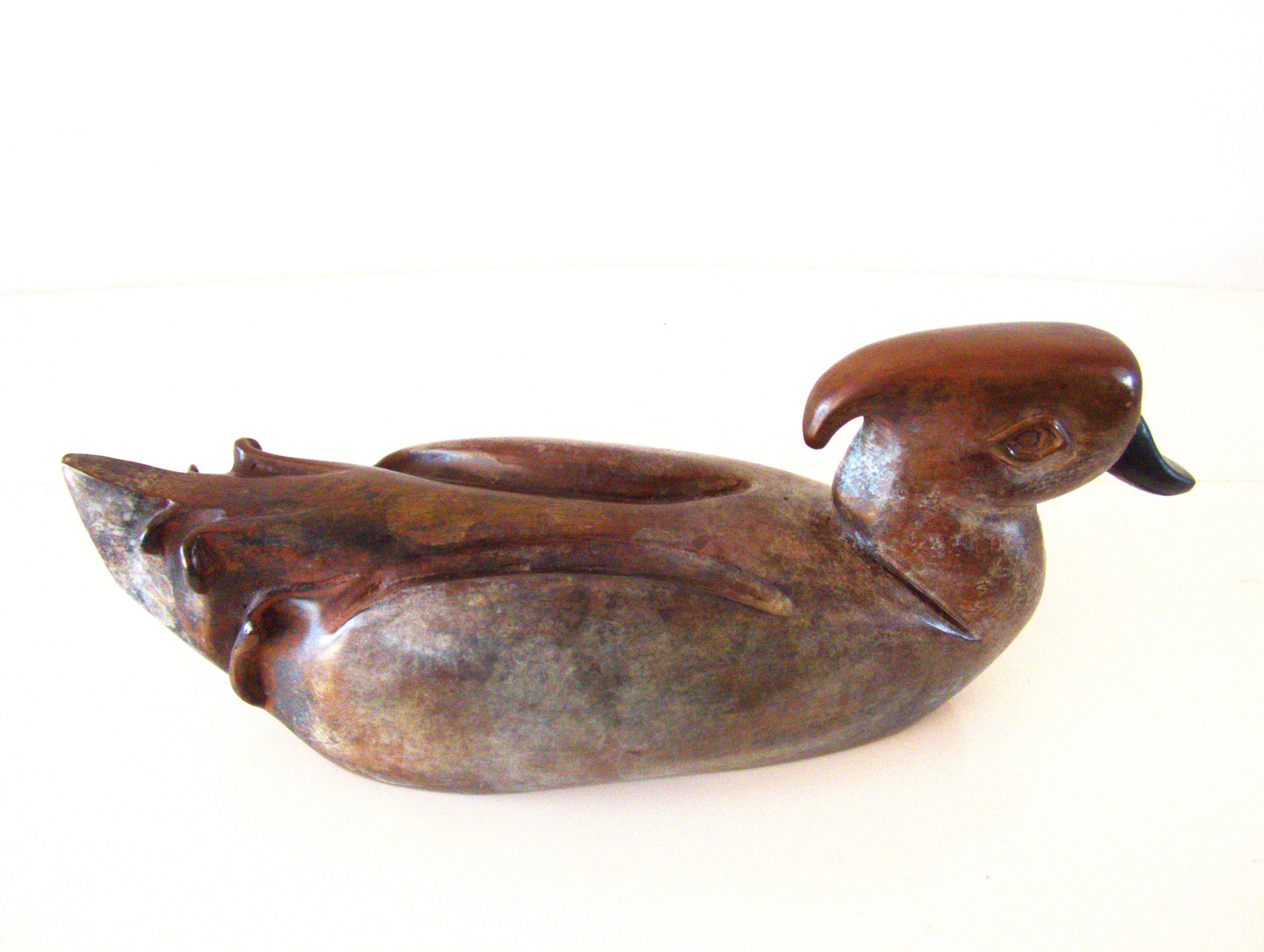Marbled Duck