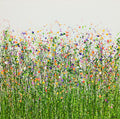 Meadow Cascade