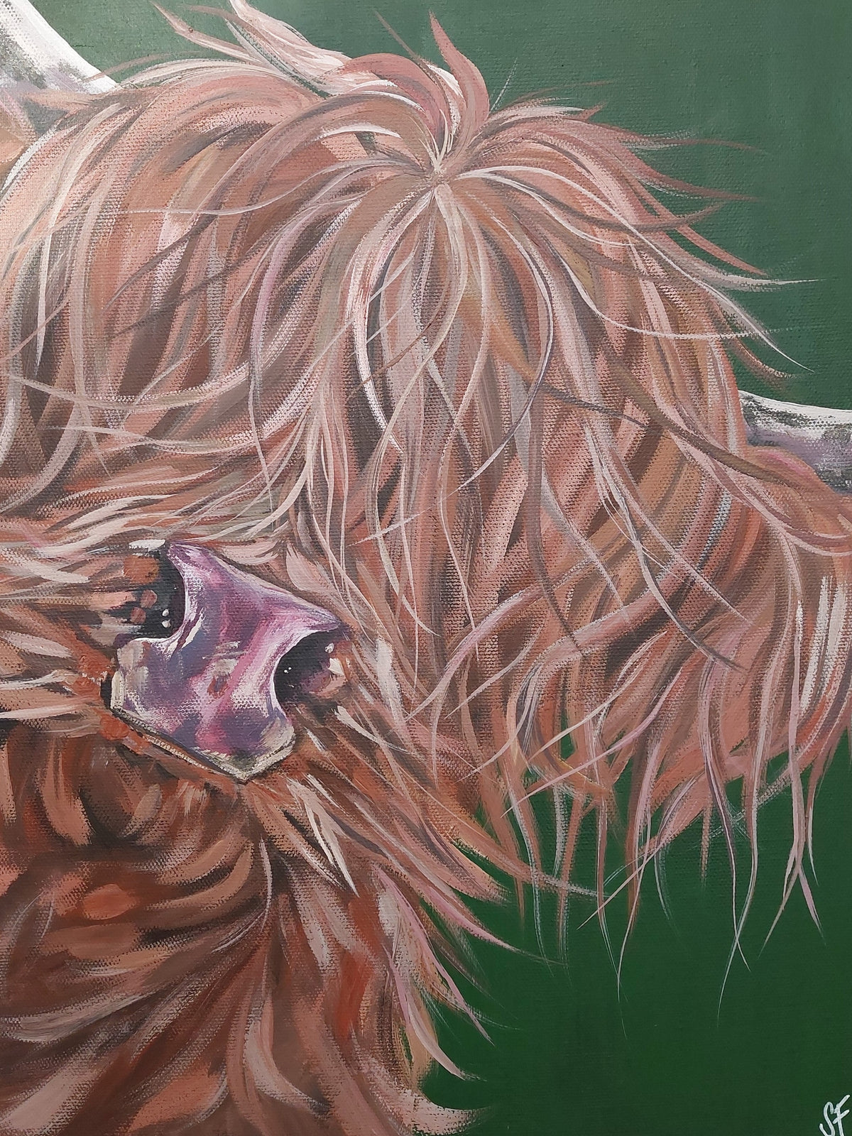 Merv McLurve