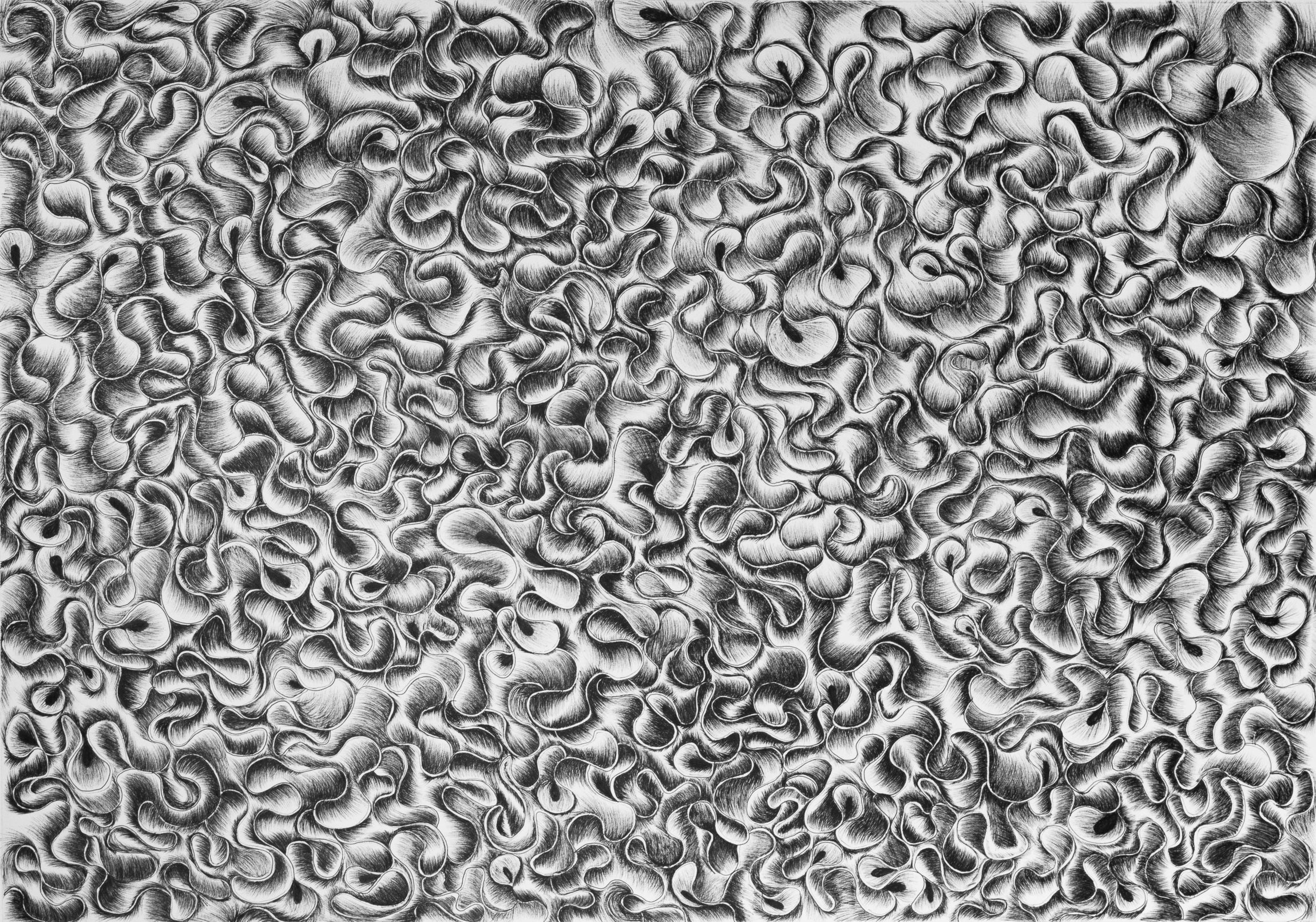 Hidden rhythms