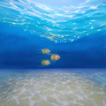 Under Sea Escape