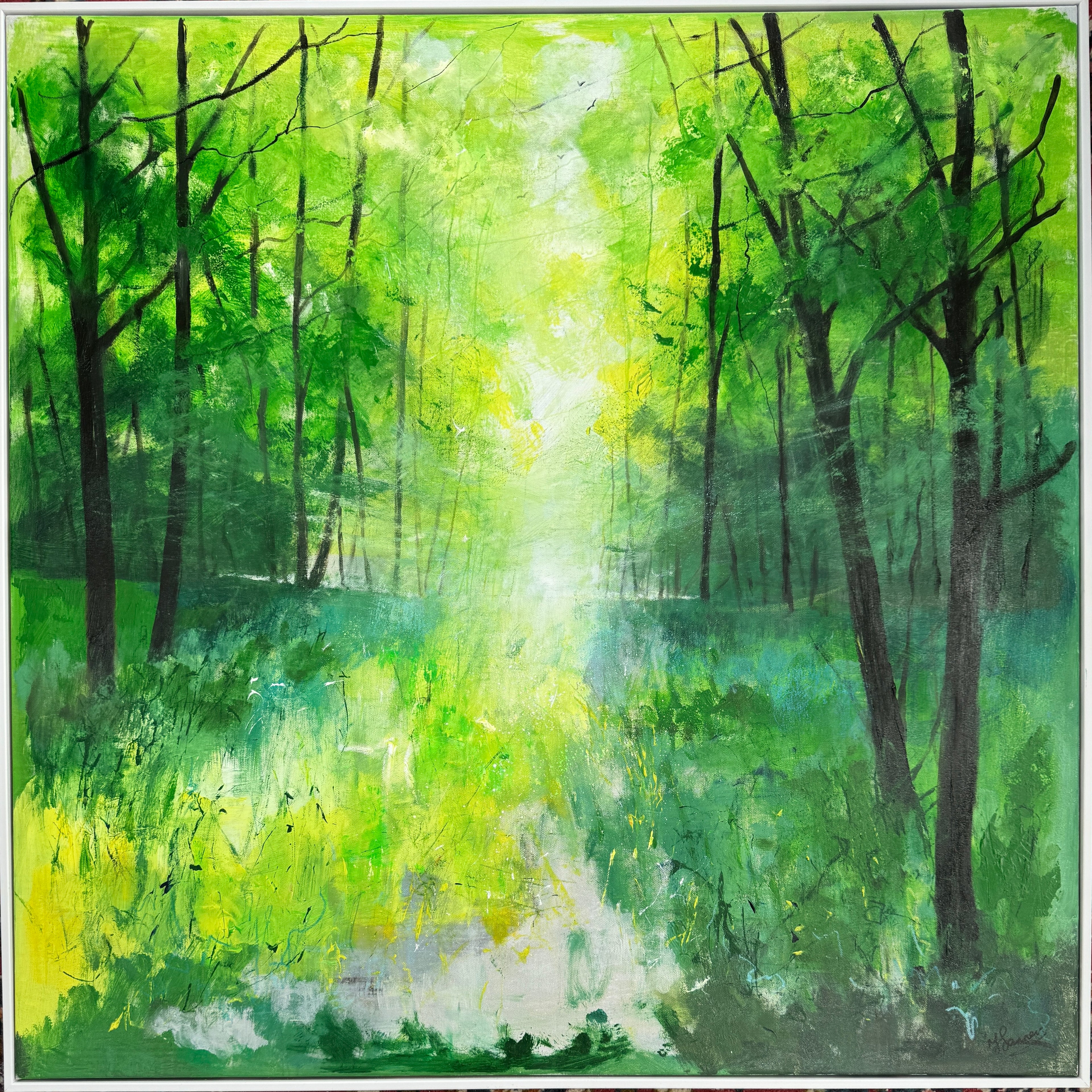 Misty Spring Woodland