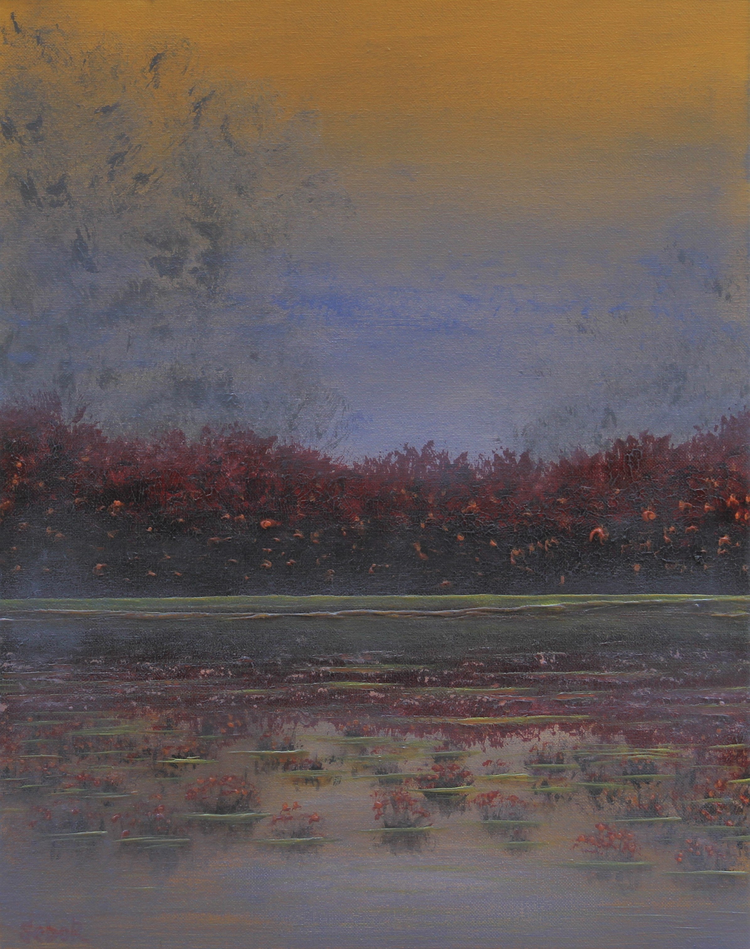 Misty Swamp