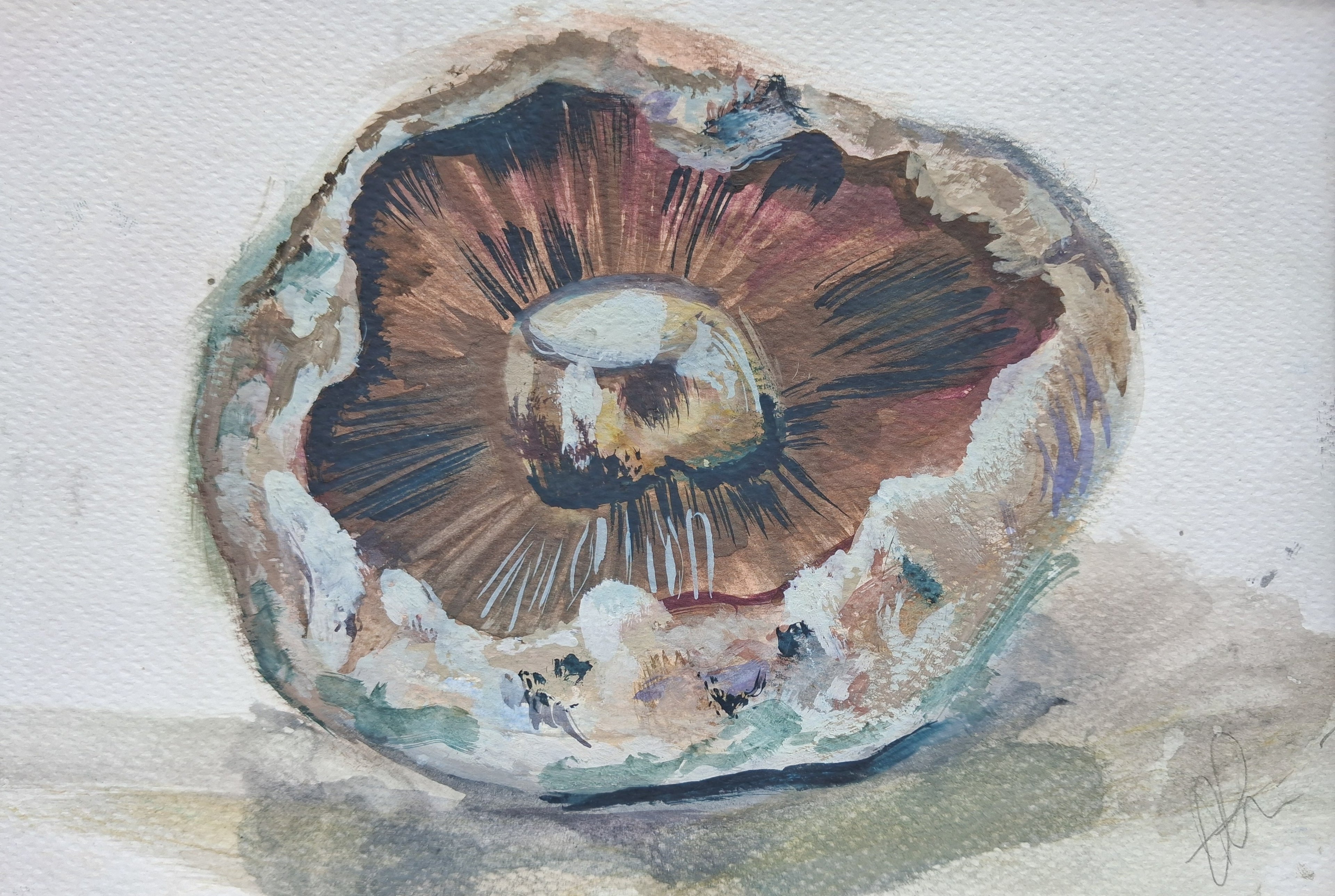 Mushroom