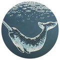 Starlit narwhal