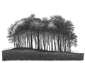 Nearly Home Trees
