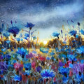 Moonlight Symphony, Cornflowers