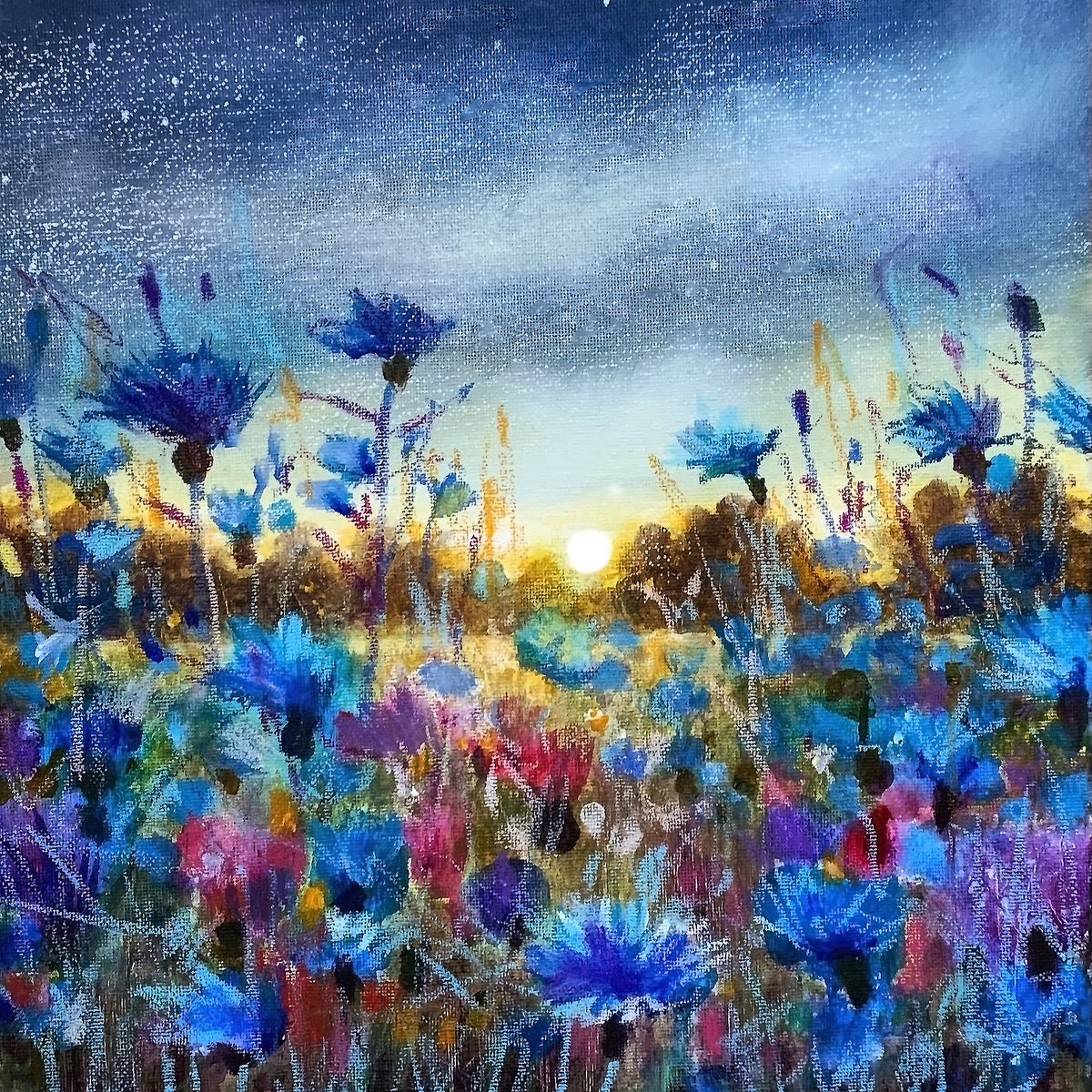 Moonlight Symphony, Cornflowers