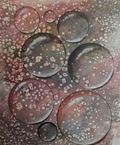 The Droplets