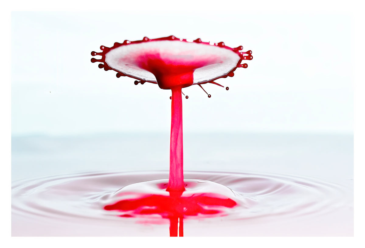 'Carousel of Blood' - Abstract Liquid Art Collection - PRINT ONLY