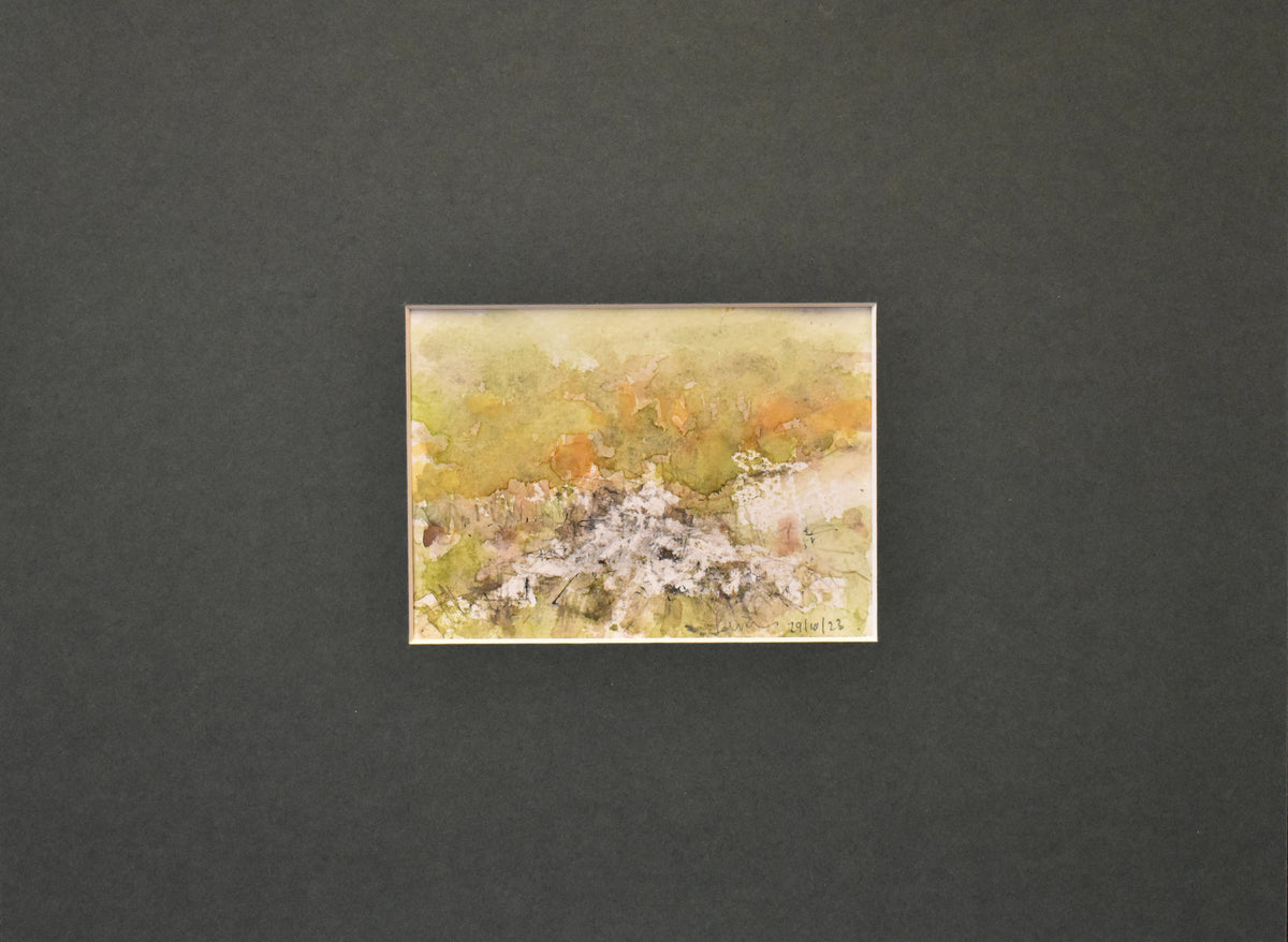 “THE PATHS WE TAKE “ STUDY NUMBER 46