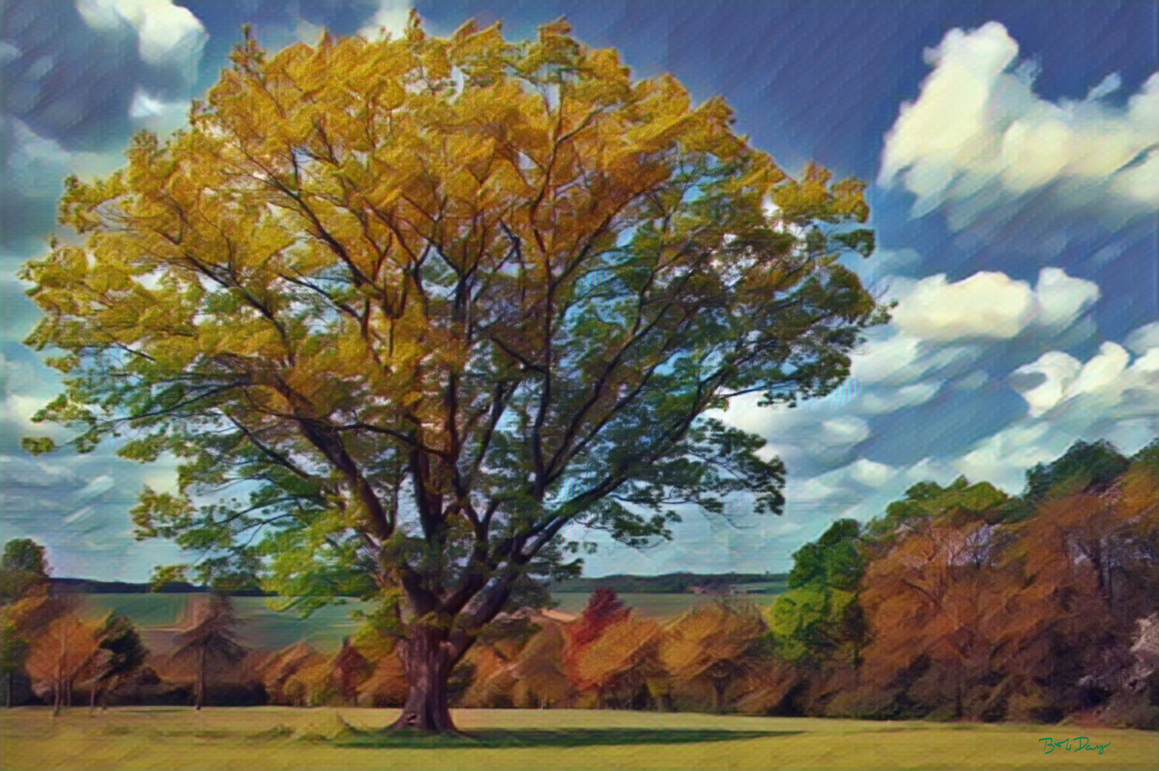 The Mighty Oak 3