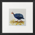 Guinea Fowl framed