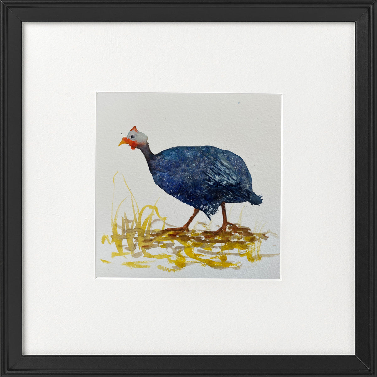 Guinea Fowl framed