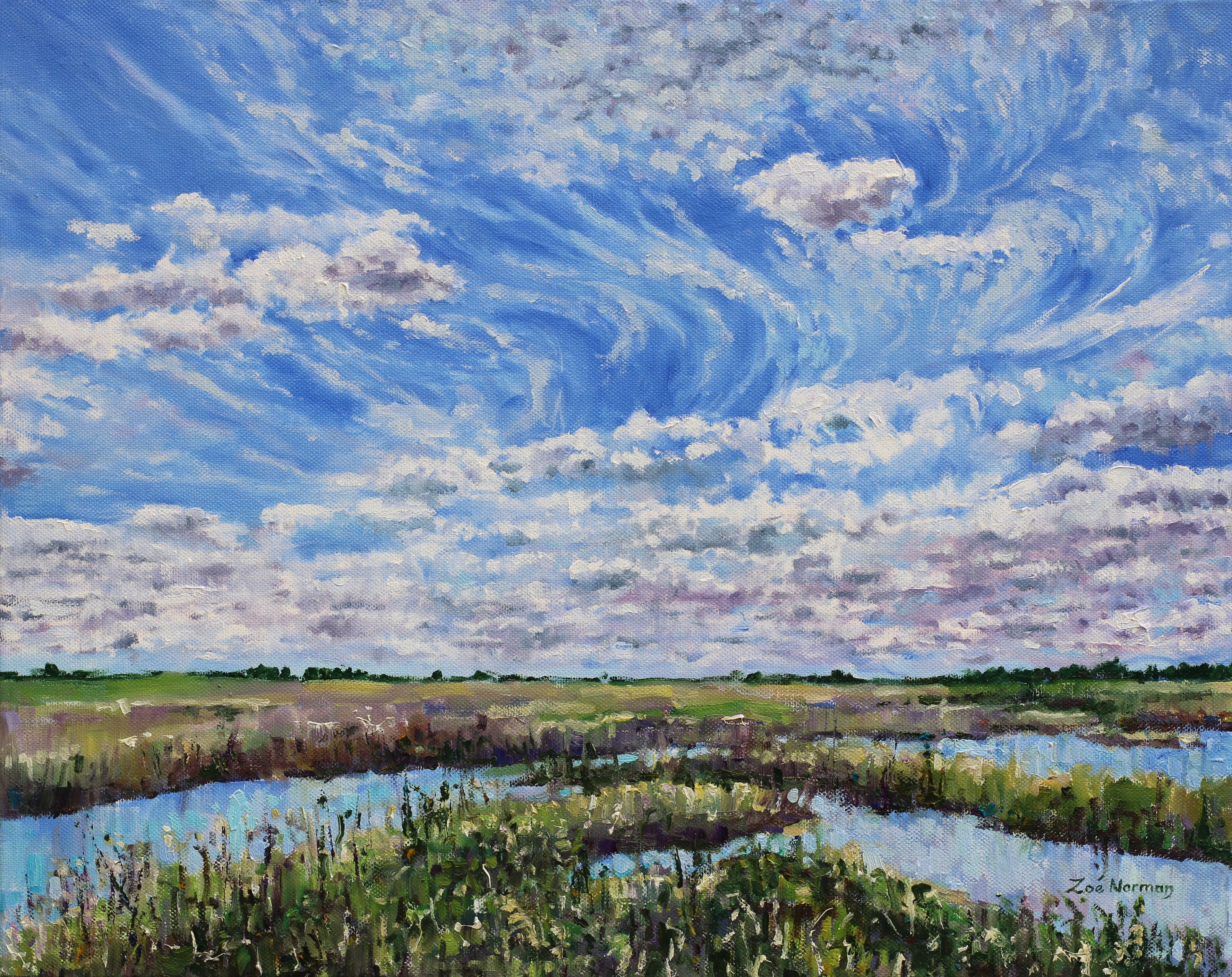 Ouse Fen - Summer Sky