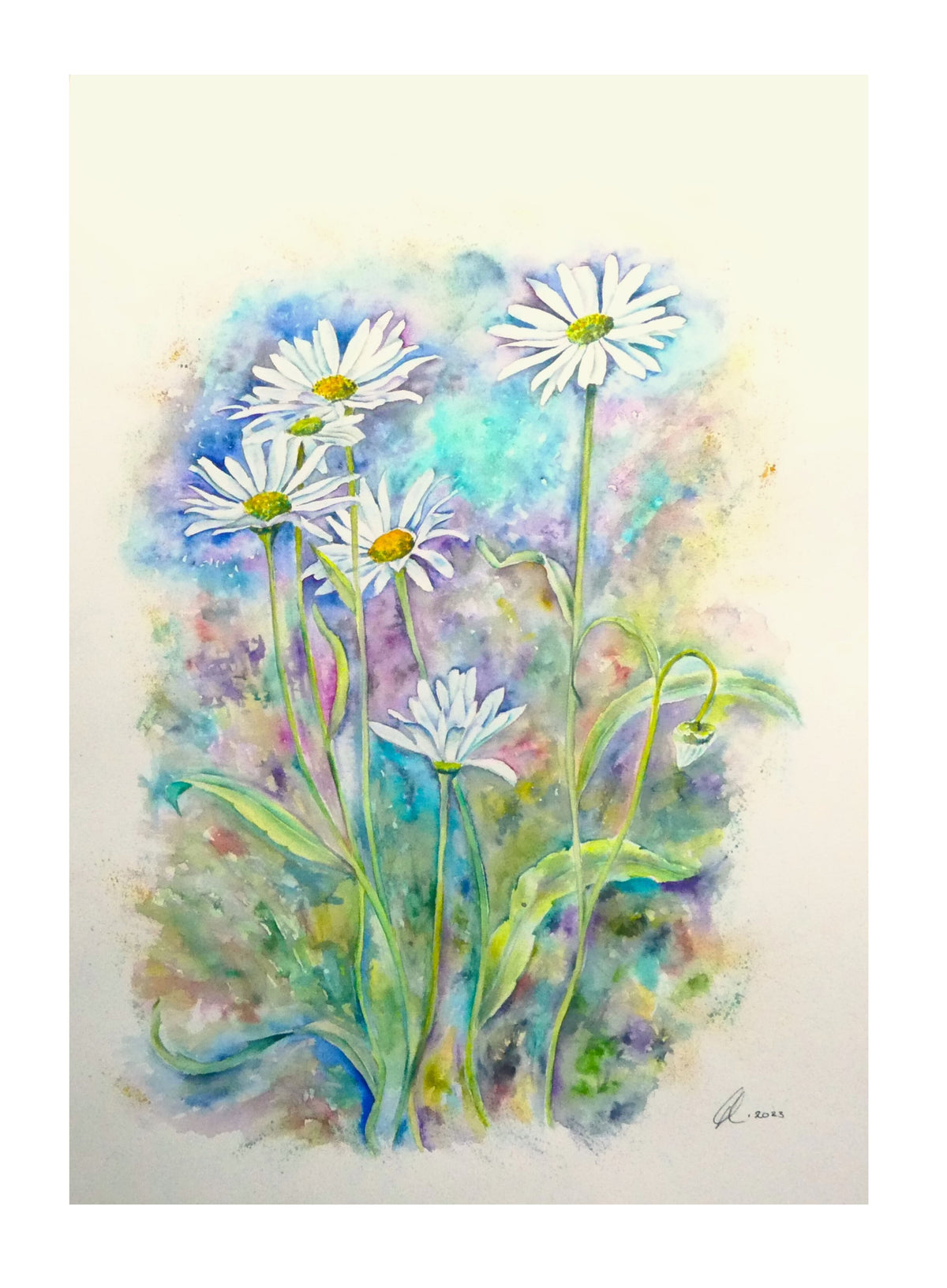 Love me Daisies