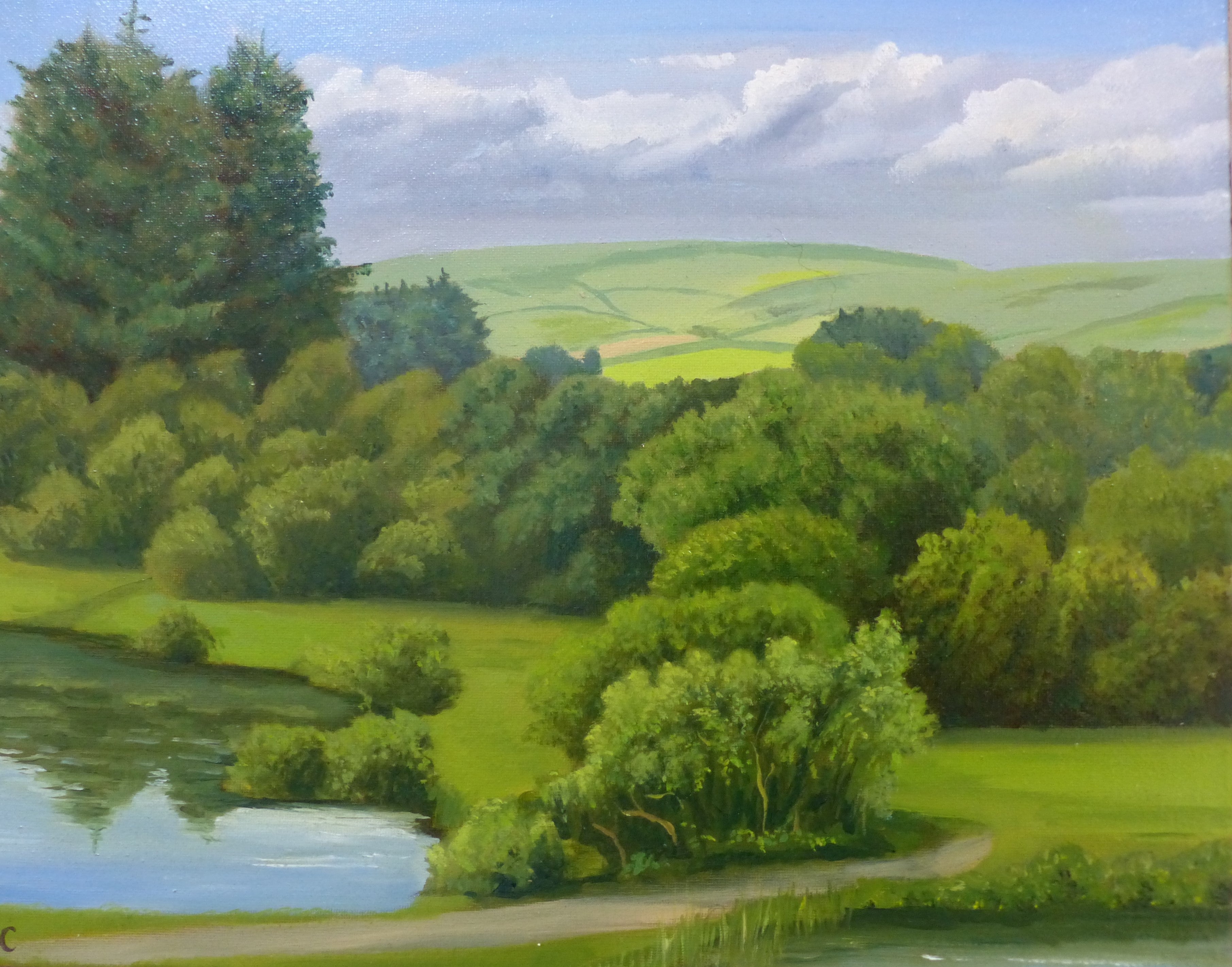 A tranquil view across the ponds at Rosebush in Pembrokeshire.